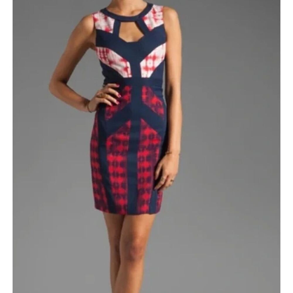 BCBGMaxAzria Avery Colorblock Dress. Arty. Ikat Inspired